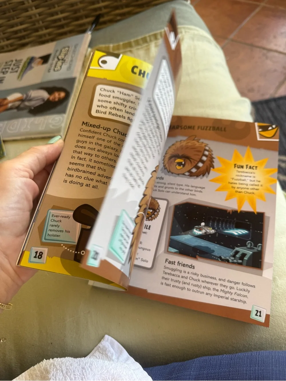 Star Wars Character Encyclopedia angry birds- Yellow Cover new